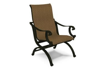 Telluride Sling Dining Chair